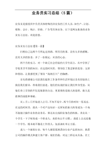 业务员实习总结（5篇）