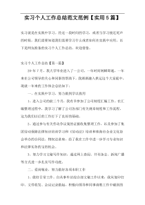 实习个人工作总结范文范例【实用5篇】