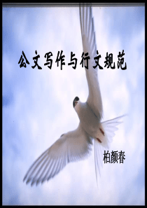 公文写作与行文规范