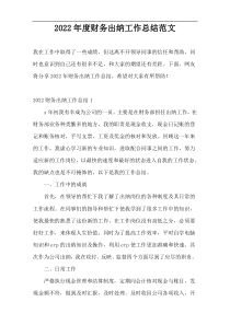 2022年度财务出纳工作总结范文