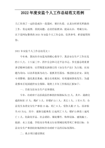 2022年度安监个人工作总结范文范例