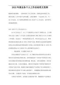 2022年度业务个人工作总结范文范例