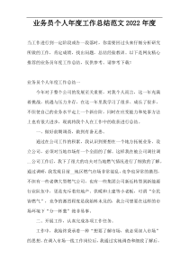 业务员个人年度工作总结范文2022年度