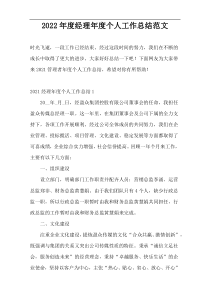 2022年度经理年度个人工作总结范文
