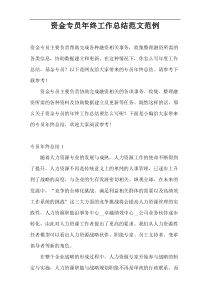 资金专员年终工作总结范文范例
