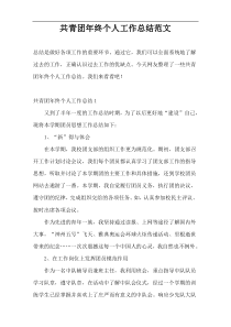 共青团年终个人工作总结范文