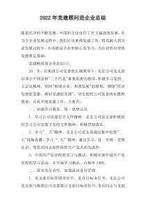 2022年党建顾问进企业总结