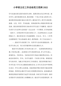 小学班主任工作总结范文范例2022