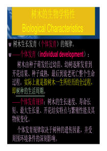 04树木与生态环境(1)