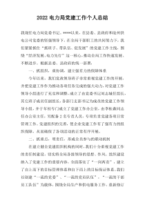 2022电力局党建工作个人总结