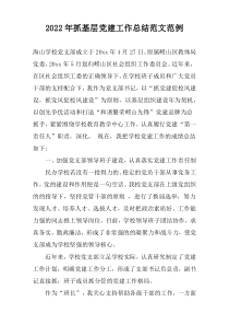 2022年抓基层党建工作总结范文范例