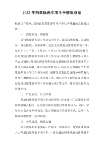 2022年扫黑除恶专项斗争情况总结