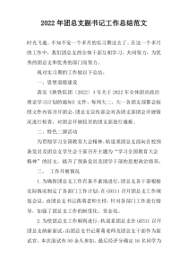 2022年团总支副书记工作总结范文
