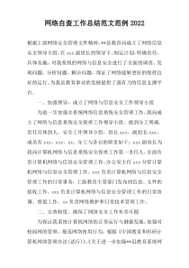 网络自查工作总结范文范例2022