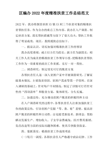 区编办2022年度精准扶贫工作总结范文