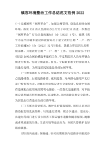 镇容环境整治工作总结范文范例2022
