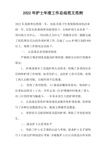 2022年护士年度工作总结范文范例