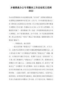 乡镇酒桌办公专项整治工作总结范文范例2022