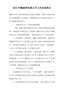2022年镇政府信息公开工作总结范文