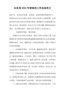 水务局2022年度综治工作总结范文