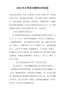2022年小学语文教师自评总结