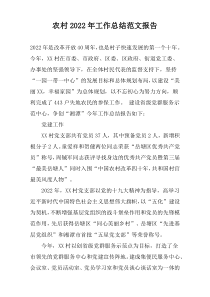 农村2022年工作总结范文报告