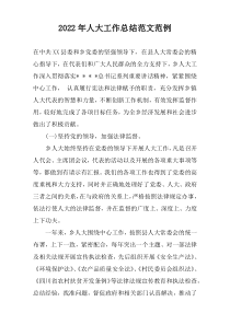 2022年人大工作总结范文范例