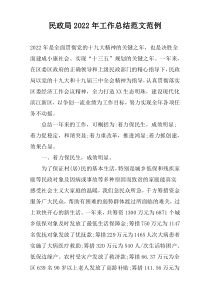 民政局2022年工作总结范文范例