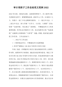 审计局班子工作总结范文范例2022