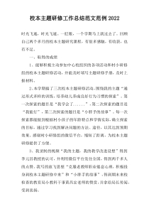 校本主题研修工作总结范文范例2022