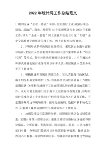2022年统计局工作总结范文
