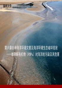 06-各种海洋污染-难降解有机物D-其它各类难降解有机物