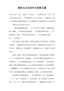 我的元旦生活作文范例五篇