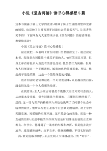 小说《堂吉诃德》读书心得感想5篇