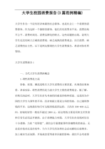 大学生校园消费报告{3篇范例精编}