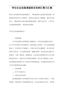 学生社会实践调查报告范例汇聚大汇集