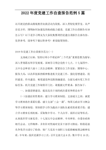 2022年度党建工作自查报告范例5篇