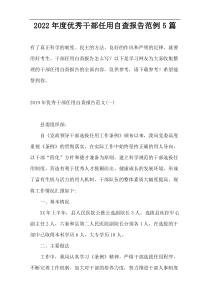 2022年度优秀干部任用自查报告范例5篇