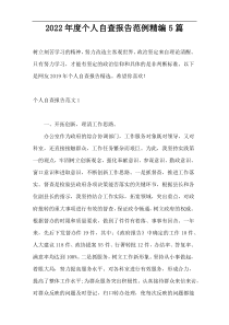 2022年度个人自查报告范例精编5篇