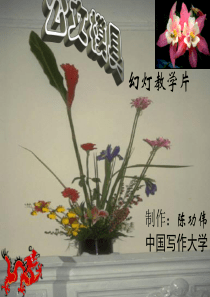 XXXX年城市管理行政执法工作意见