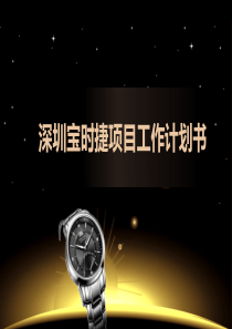 宝时捷手表项目工作计划书