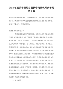 2022年度关于班组自查报告精编优秀参考范例5篇