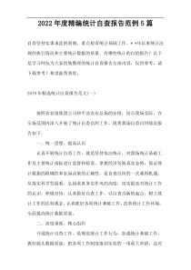 2022年度精编统计自查报告范例5篇