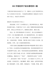 800字骆驼祥子读后感范例5篇