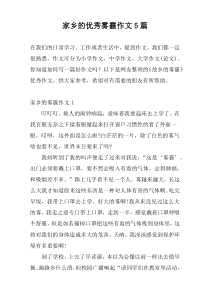 家乡的优秀雾霾作文5篇