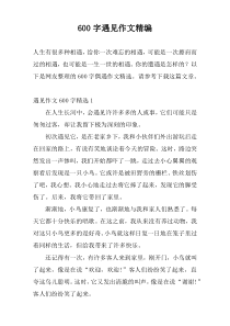 600字遇见作文精编