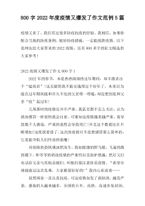 800字2022年度疫情又爆发了作文范例5篇