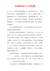 名著骆驼祥子个人读后感