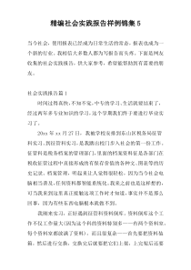 精编社会实践报告样例锦集5