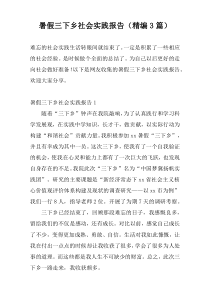 暑假三下乡社会实践报告（精编3篇）